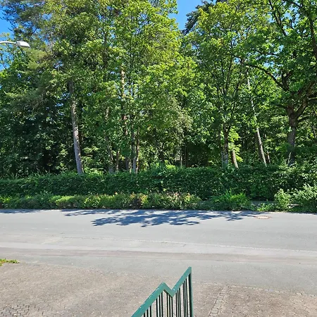 Am Park * ברילון
